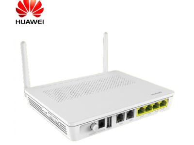 Optical Network Terminal(ONT)